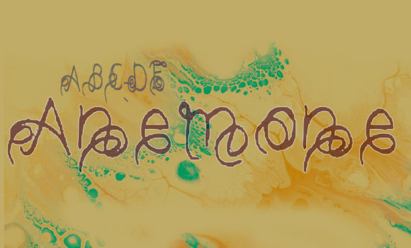 Anemone Display Font for Whimsical Brand Identity