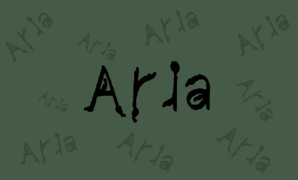 Aria: A Simple Brushed Display Font for Thoughtful Typography