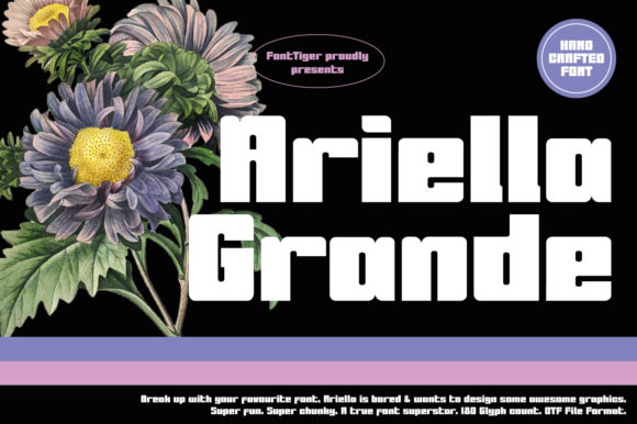 Ariella Grande Font for Bold, Edgy Brand Identity